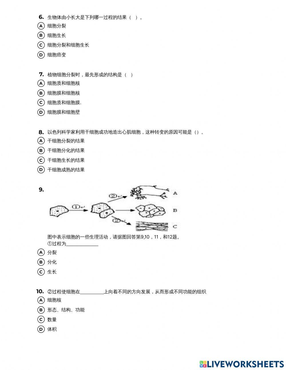 多细胞生物体的结构-1