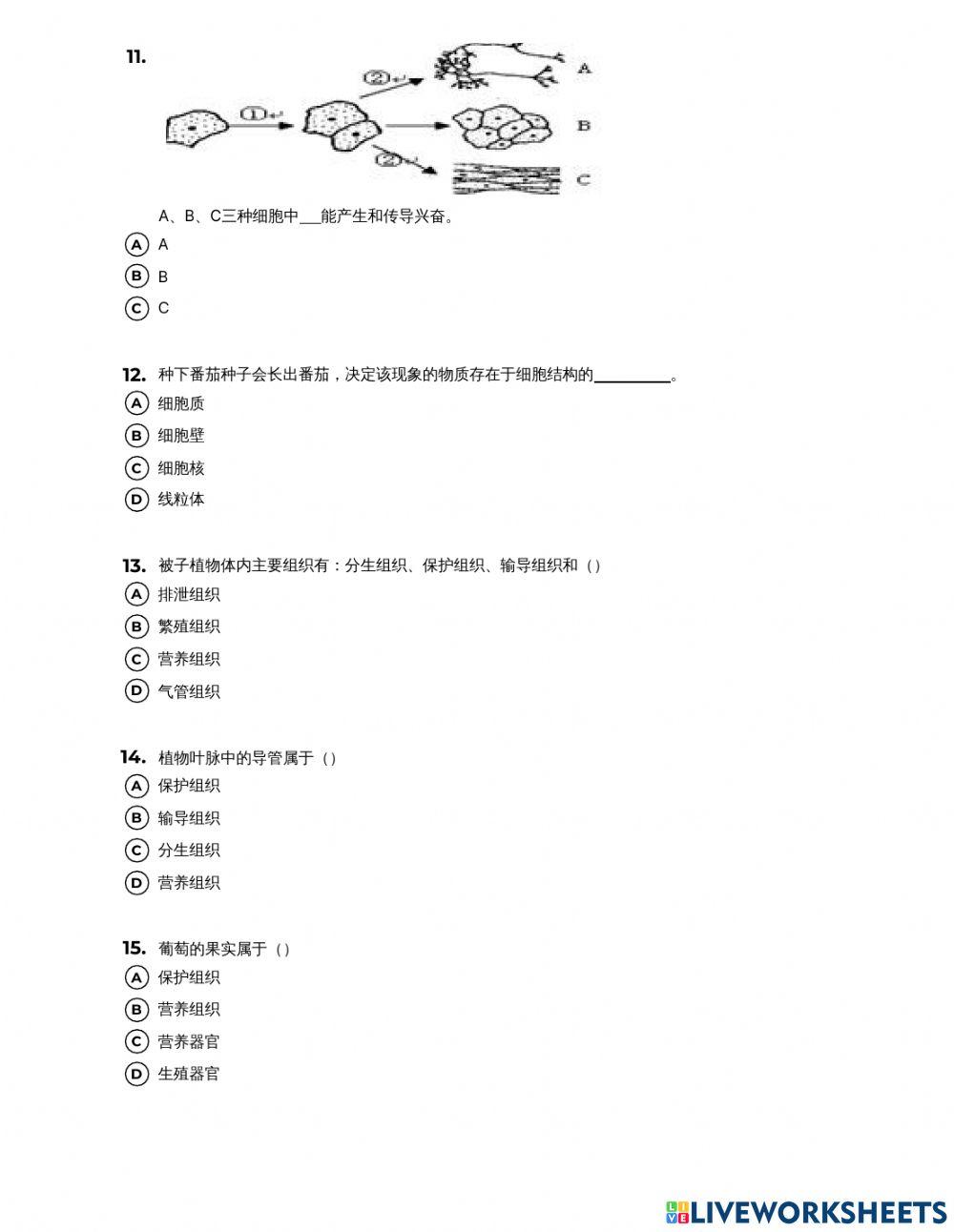 多细胞生物体的结构-1