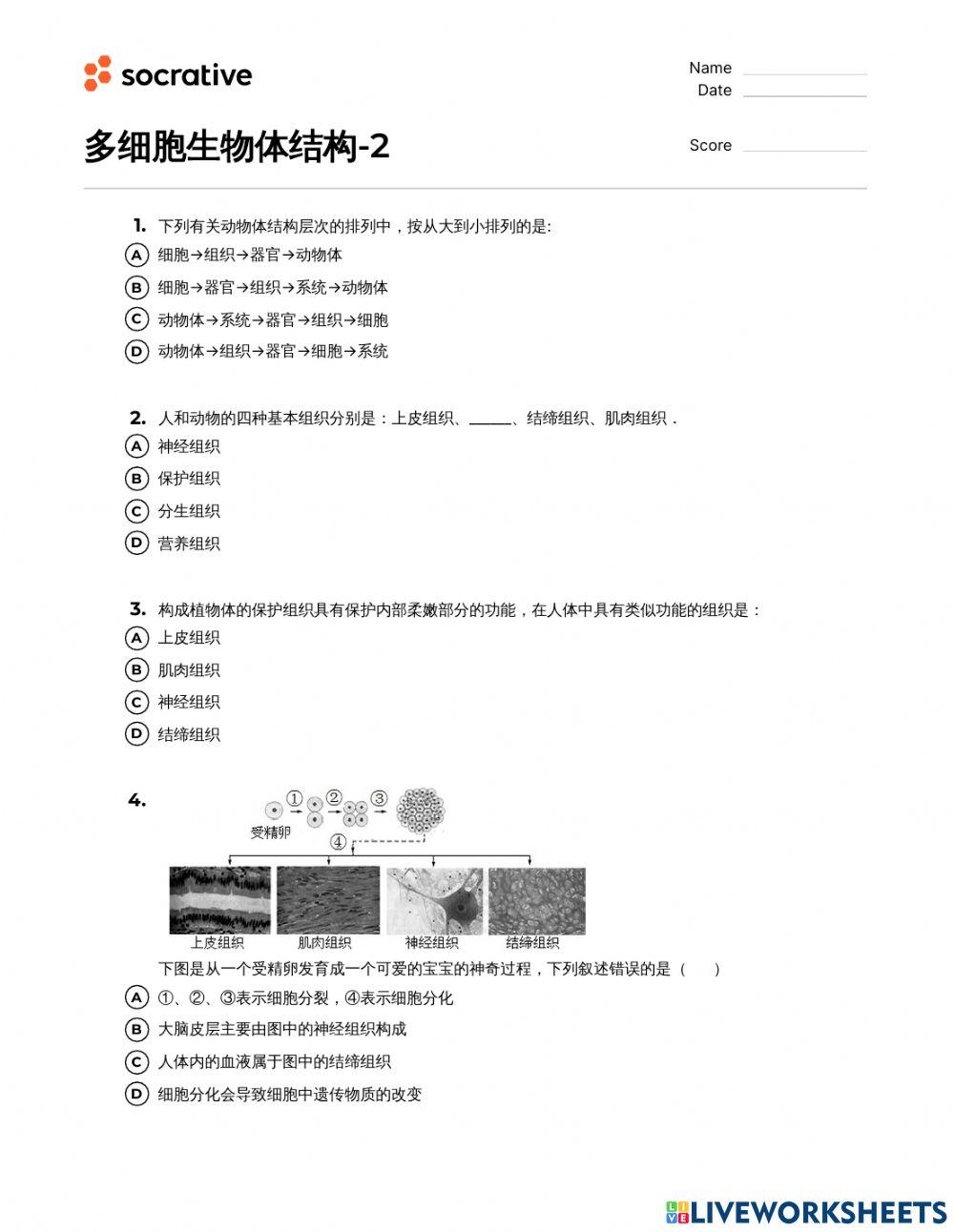 多细胞生物体结构-2