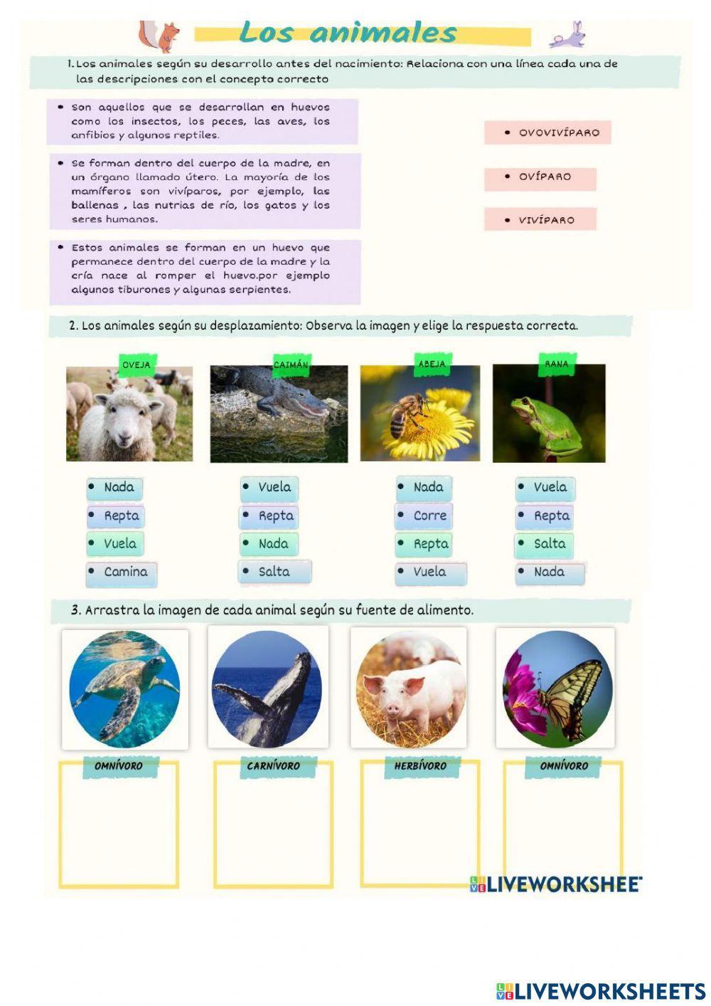 Animales segun su alimentacion
