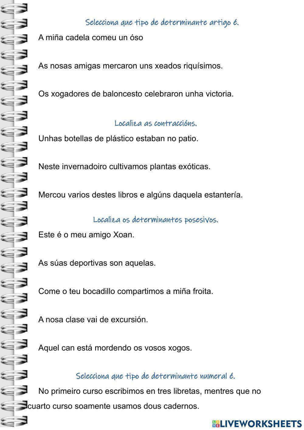 Determinantes artigos contraccions posesivos