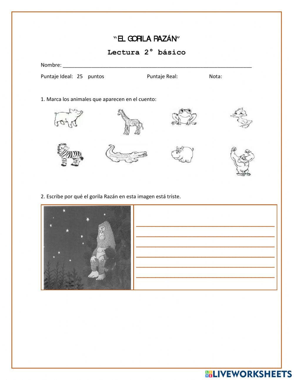 Prueba El gorila Razán