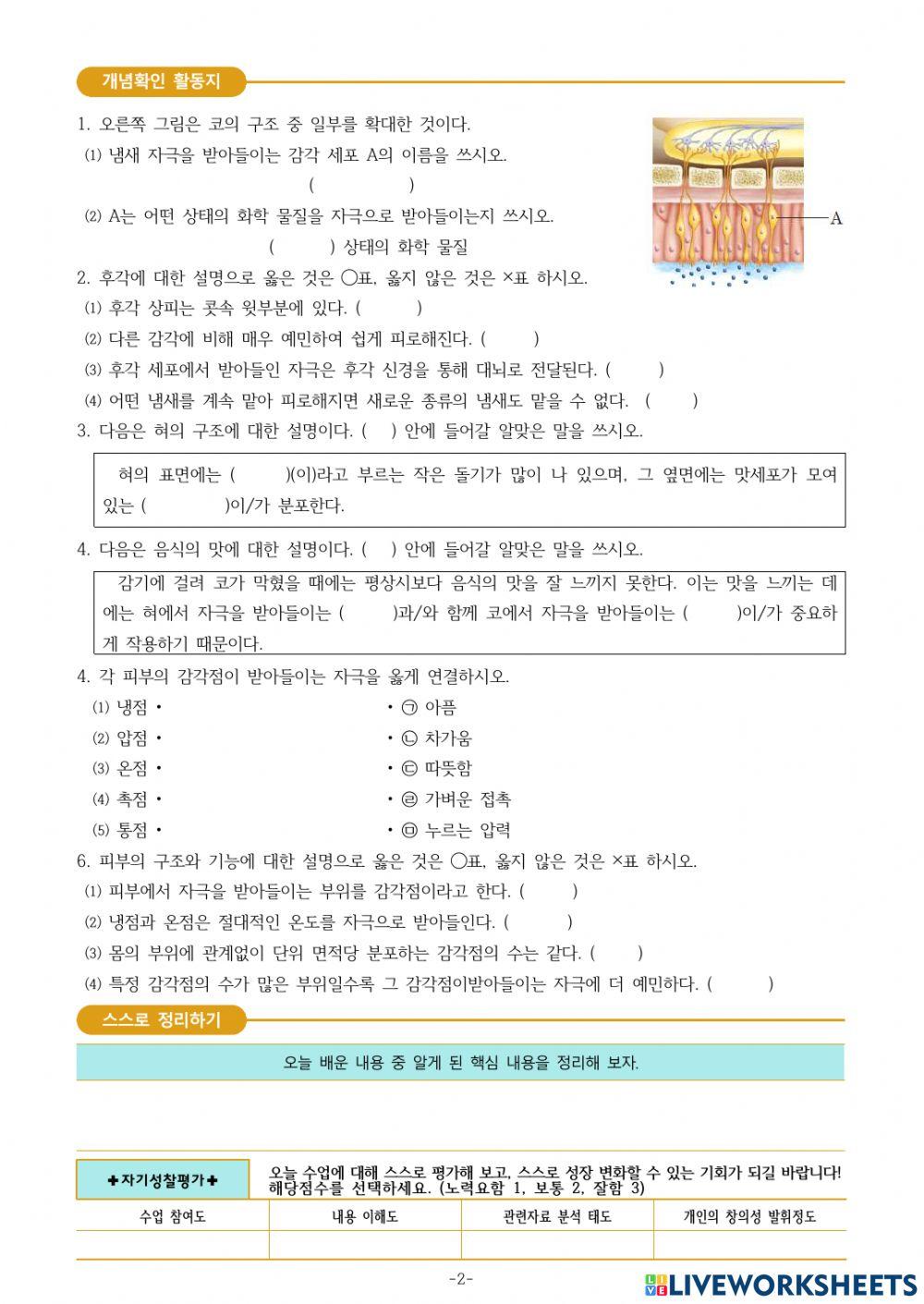 중3-Ⅳ-1-3. 미각과 후각을 담당하는 감각 기관