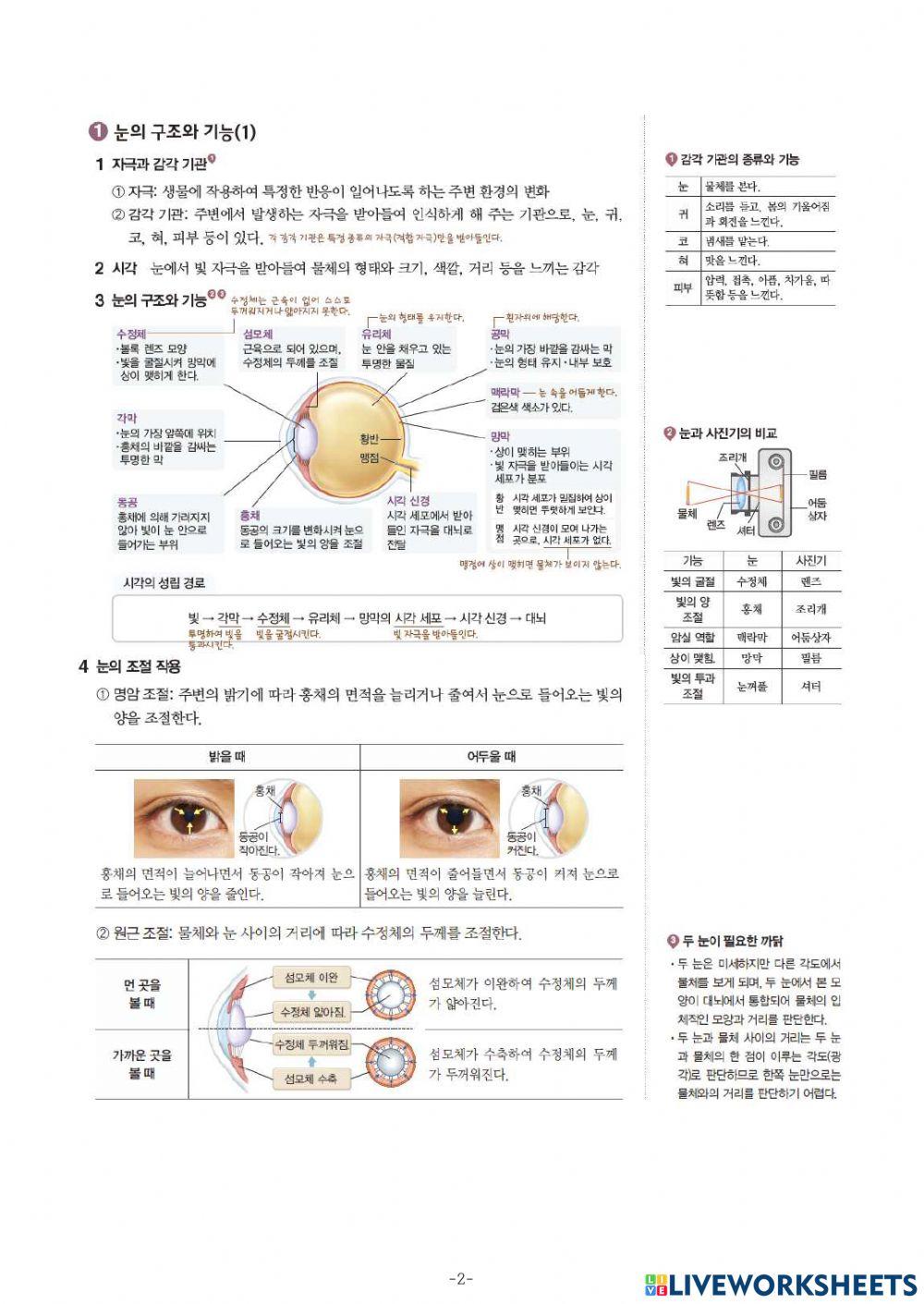 중3-Ⅳ-1-4. 중단원 정리