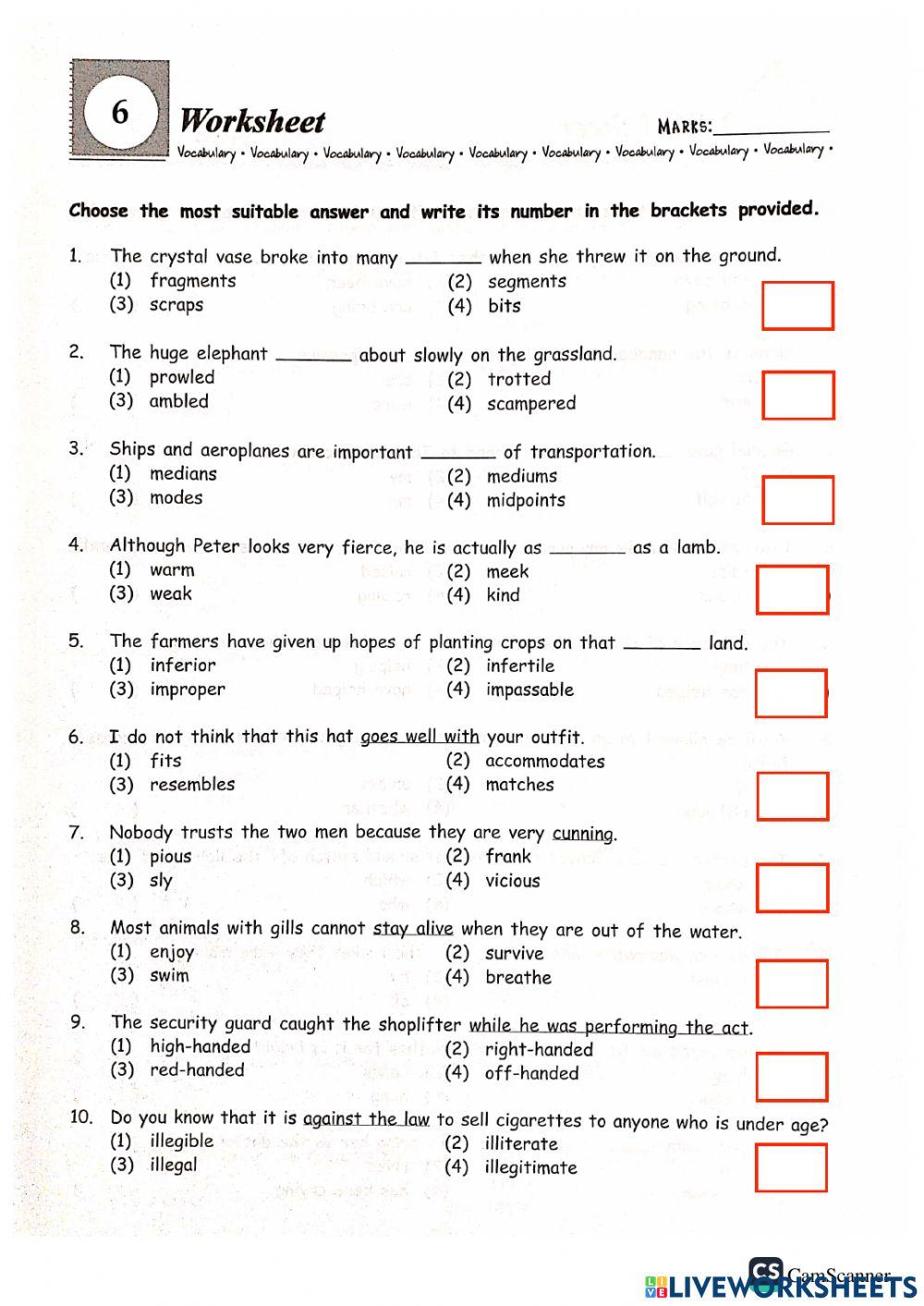 Grammar + vocab part b