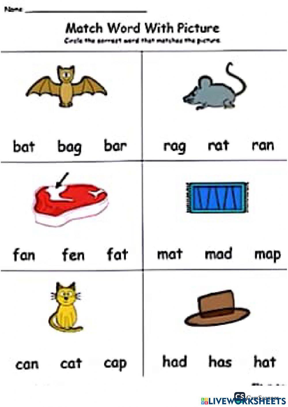 Phonics revision