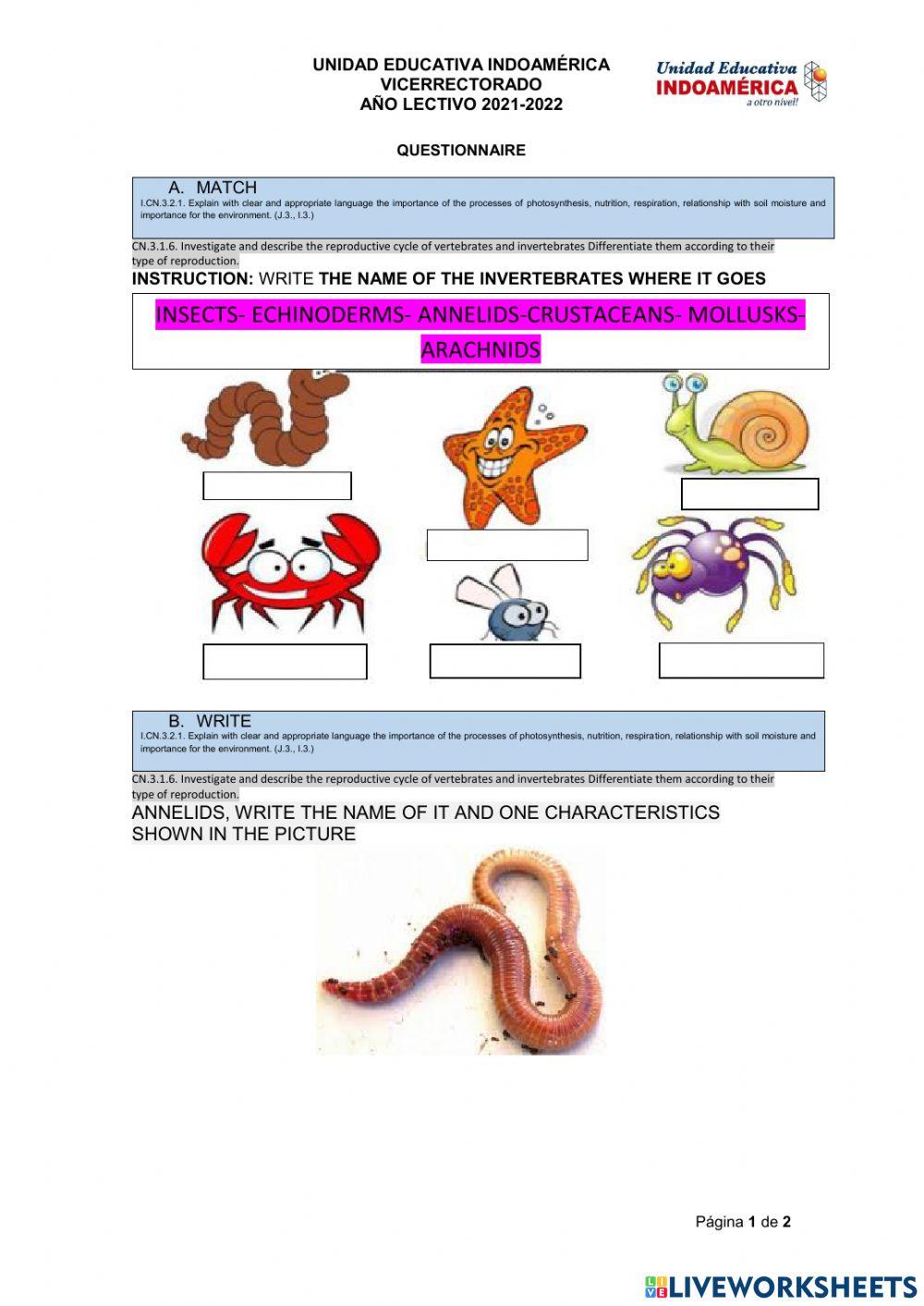 Science vertebrates and invertebrates