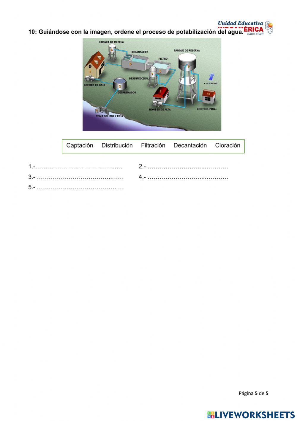 Evaluación quimestral de CCNN2