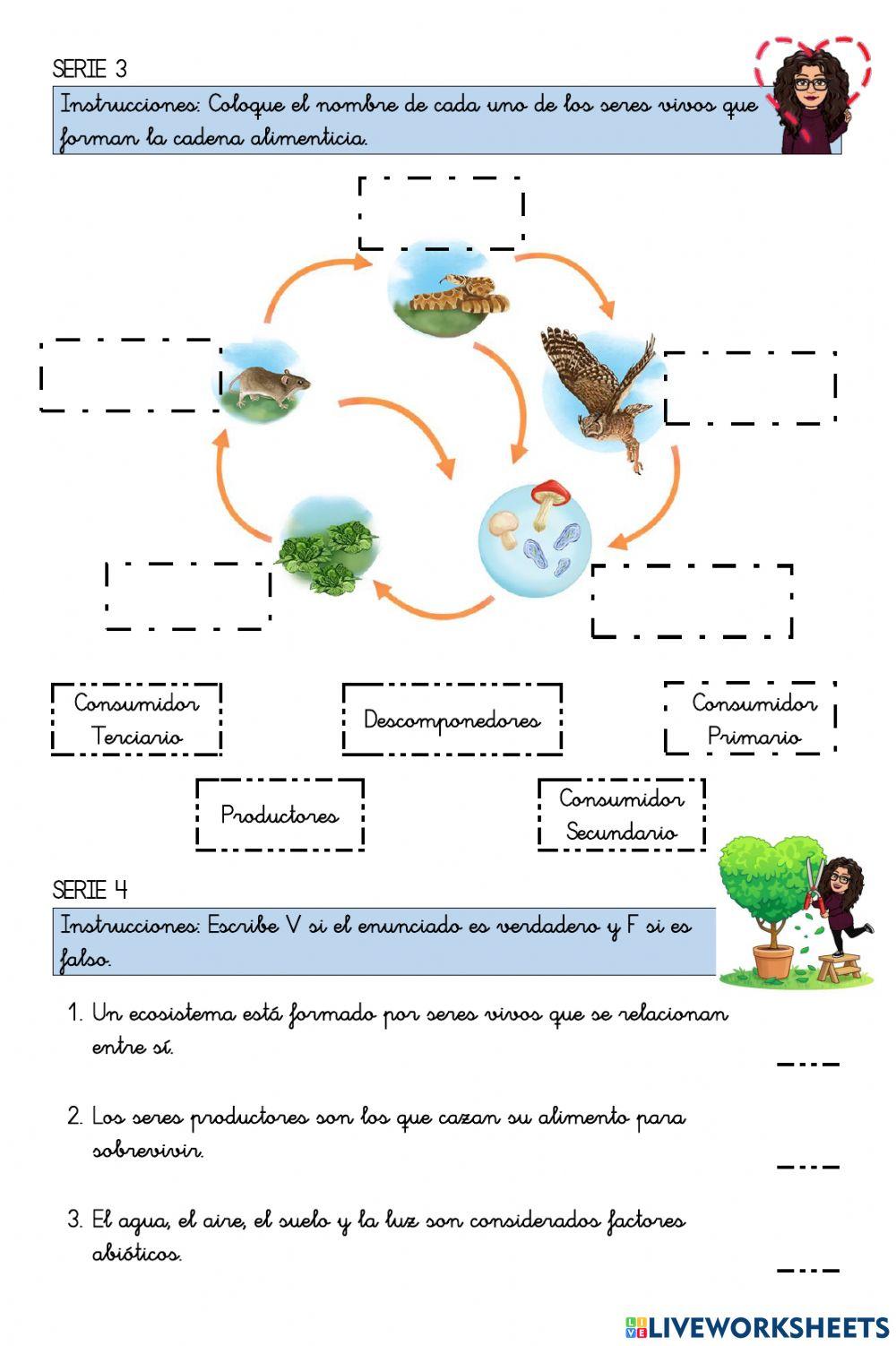 Parcial Medio Natural 2do. - Unidad III