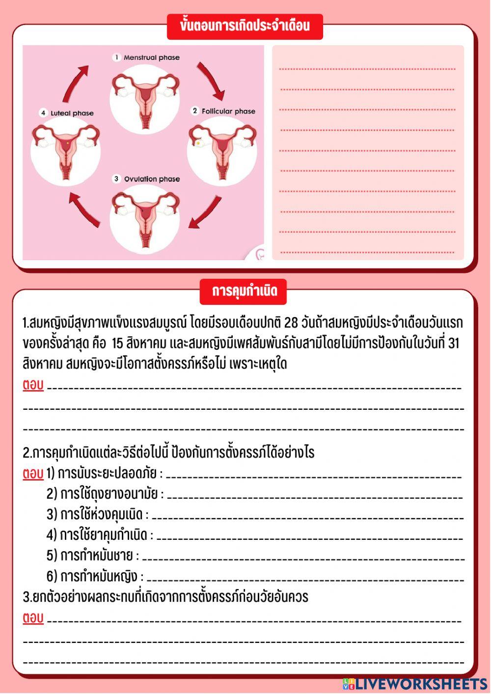 ระบบสืบพันธุ์