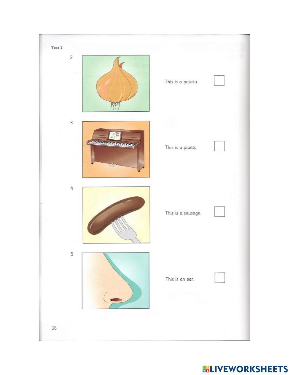 Starters - Test 2 - Book 7 - Reading + Writing