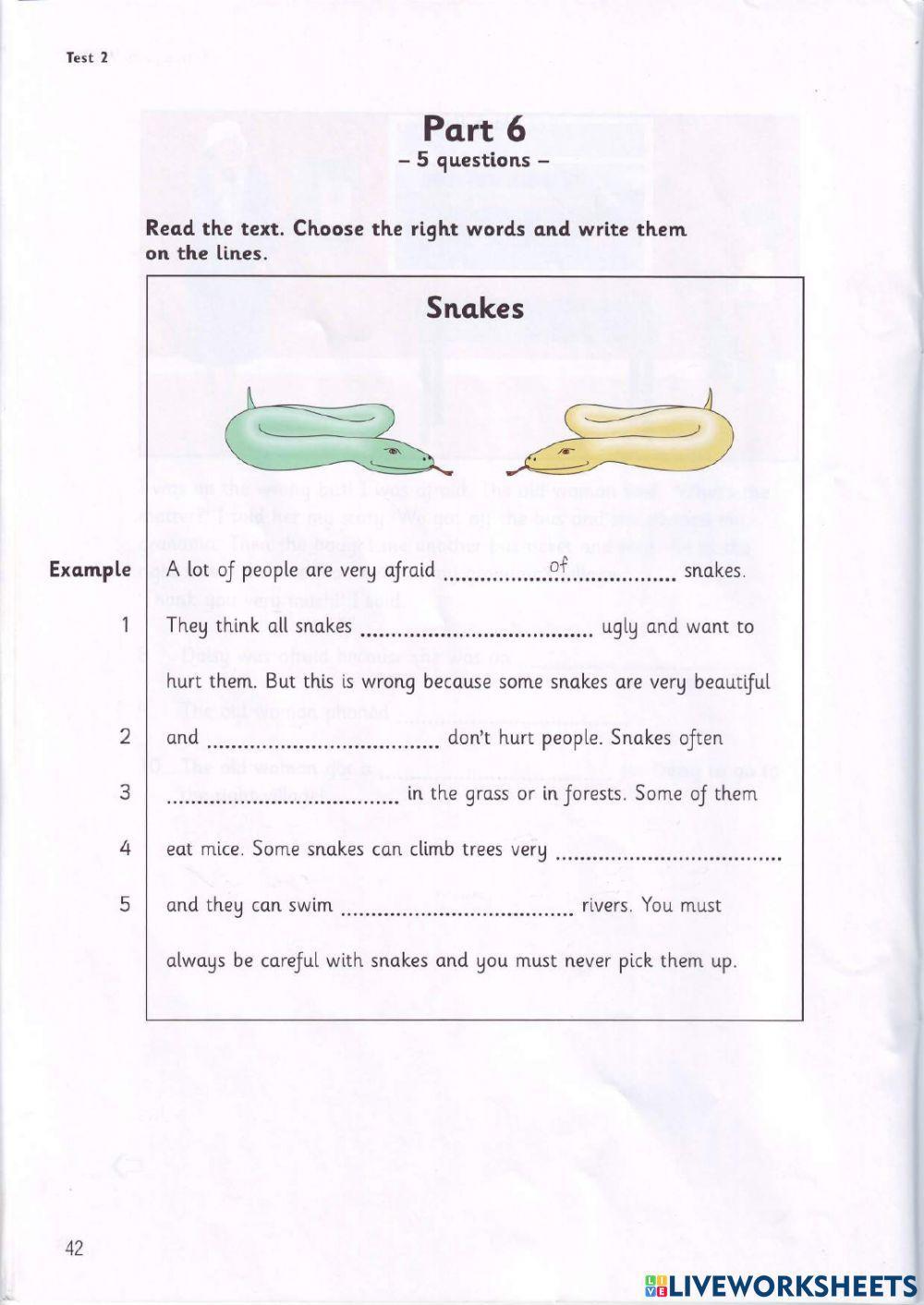 Movers - Test 2.2 - Book 1 - Reading + Writing