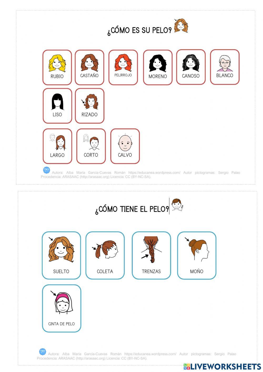 Describimos a Aladdín