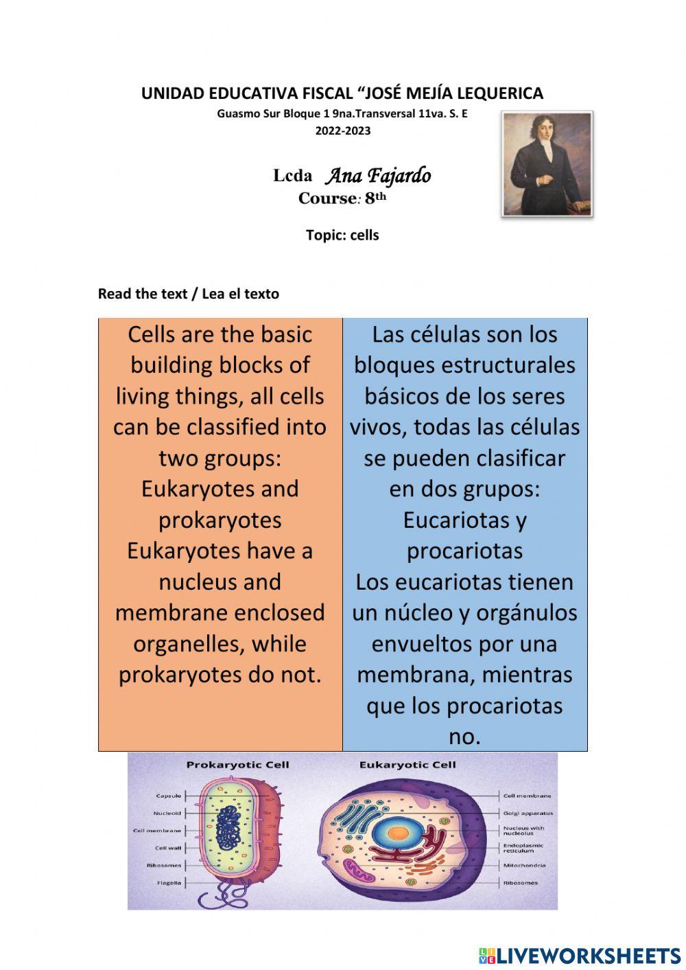 Cells for  ANA FAJARDO