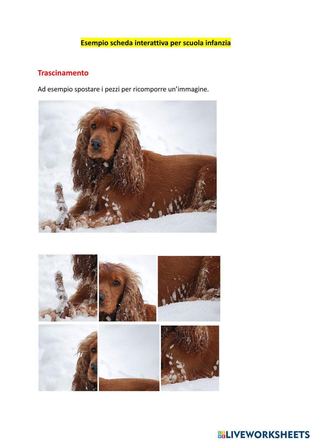 Esempio mooc infanzia