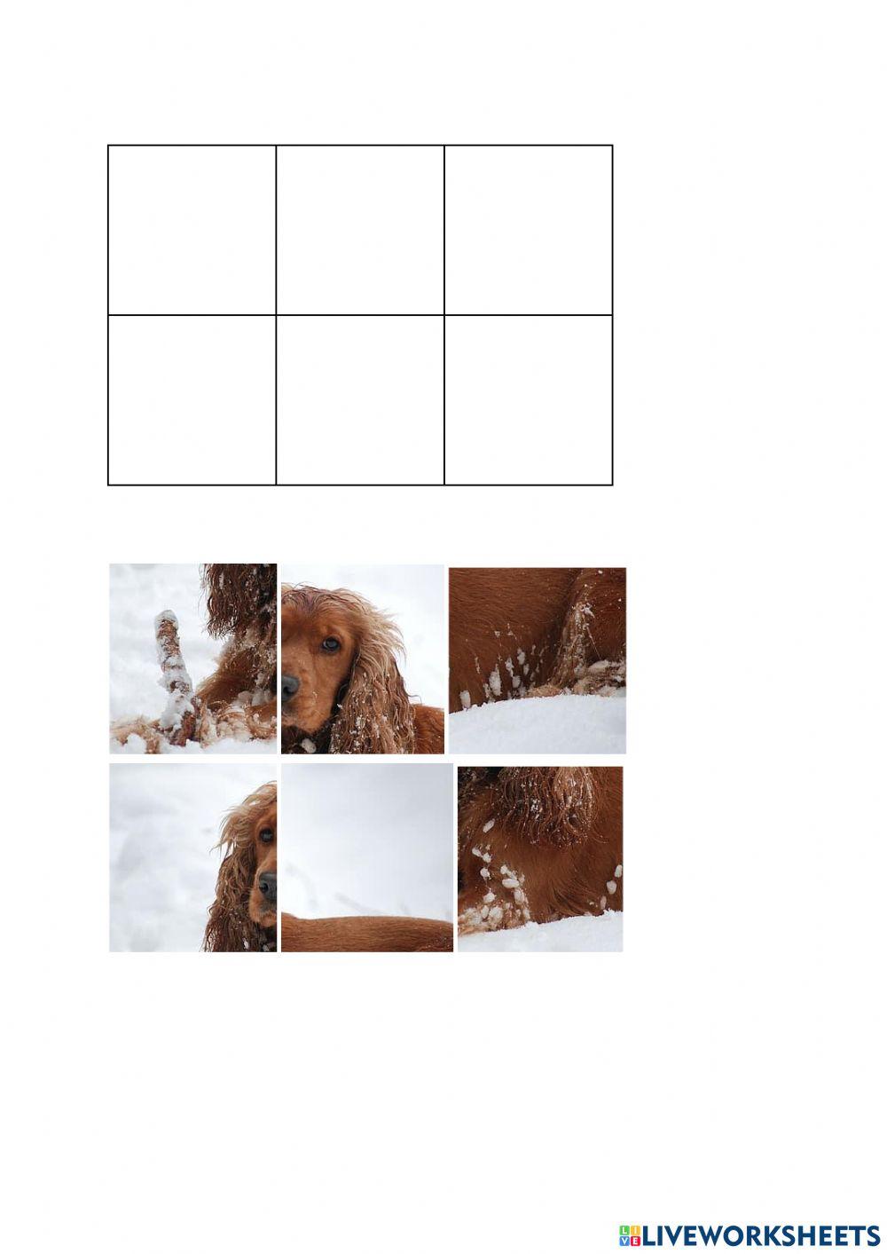 Esempio mooc infanzia