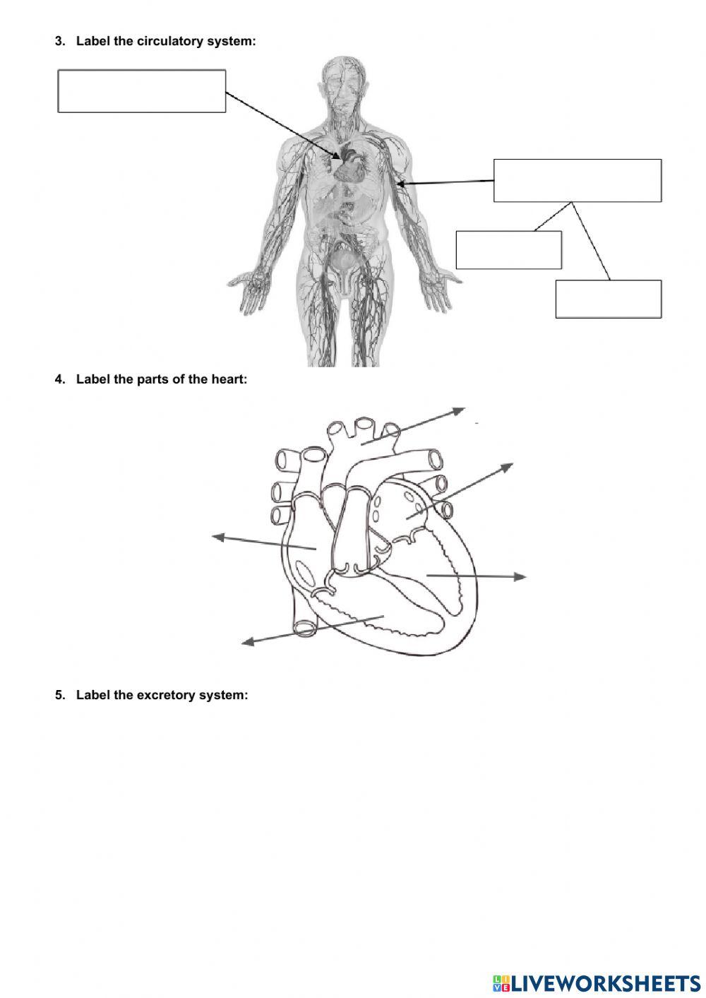 Unit 2 and 3 (6th) Part 1