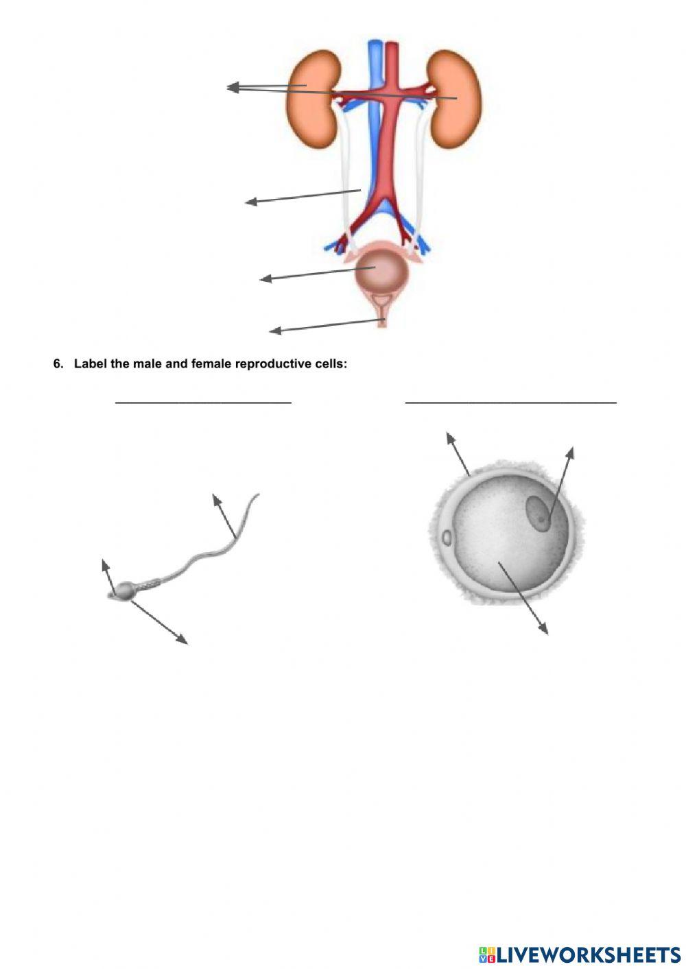 Unit 2 and 3 (6th) Part 1