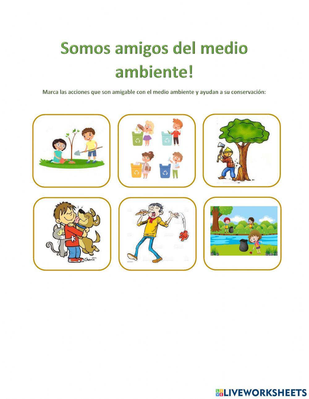 Amigos del medio ambiente