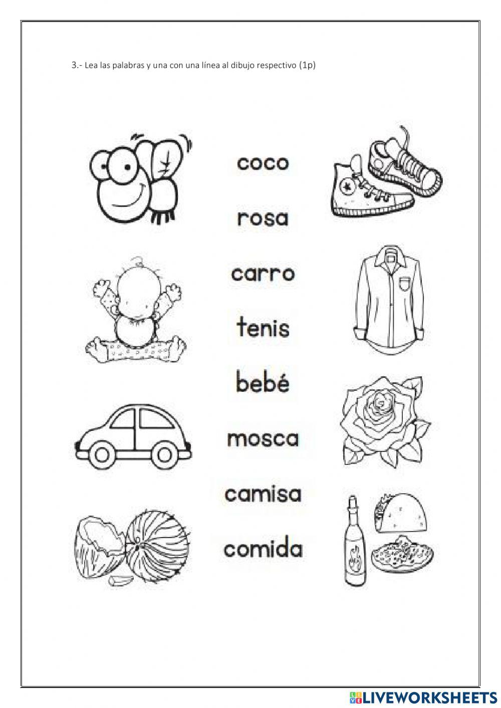 Evaluación l. literatura