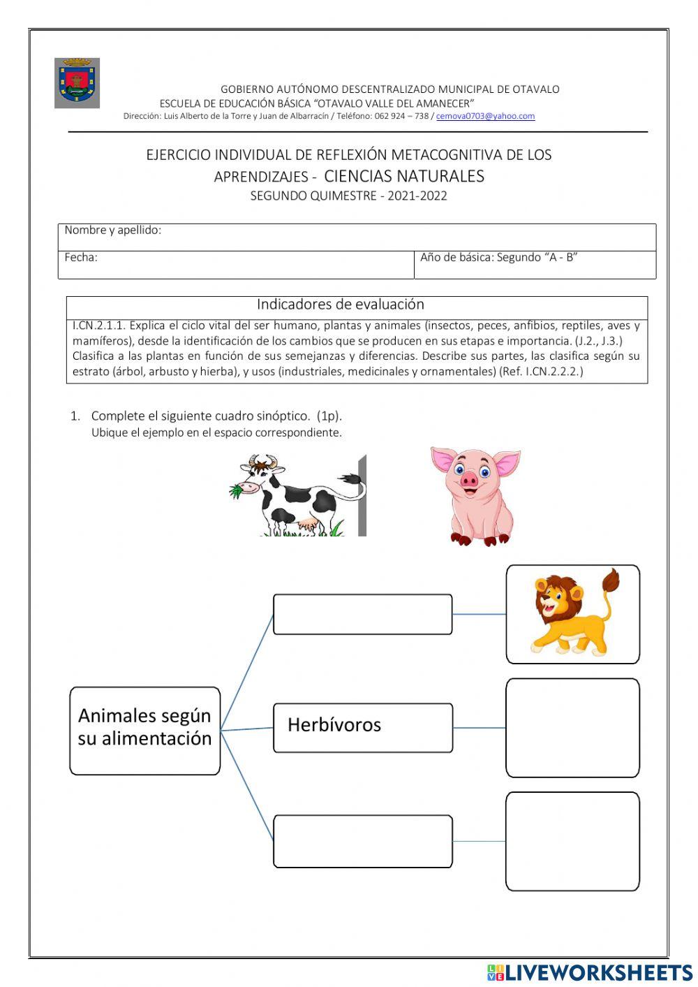 Evaluación Ciencias naturales