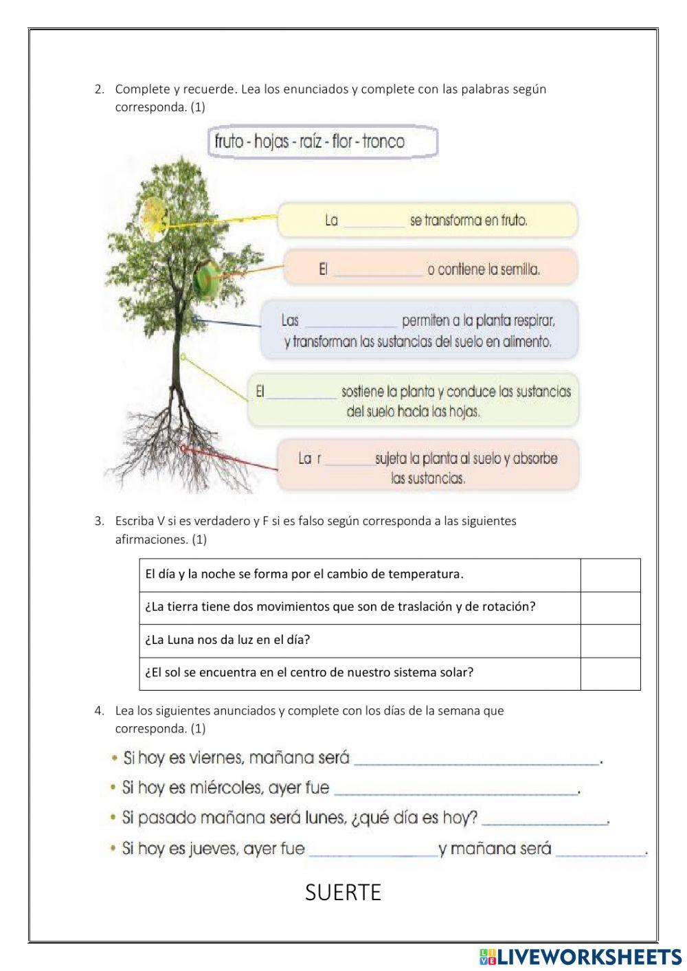 Evaluación Ciencias naturales