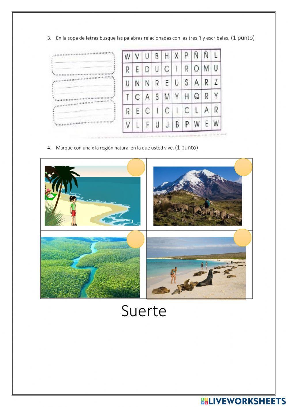 Evaluación estudios sociales