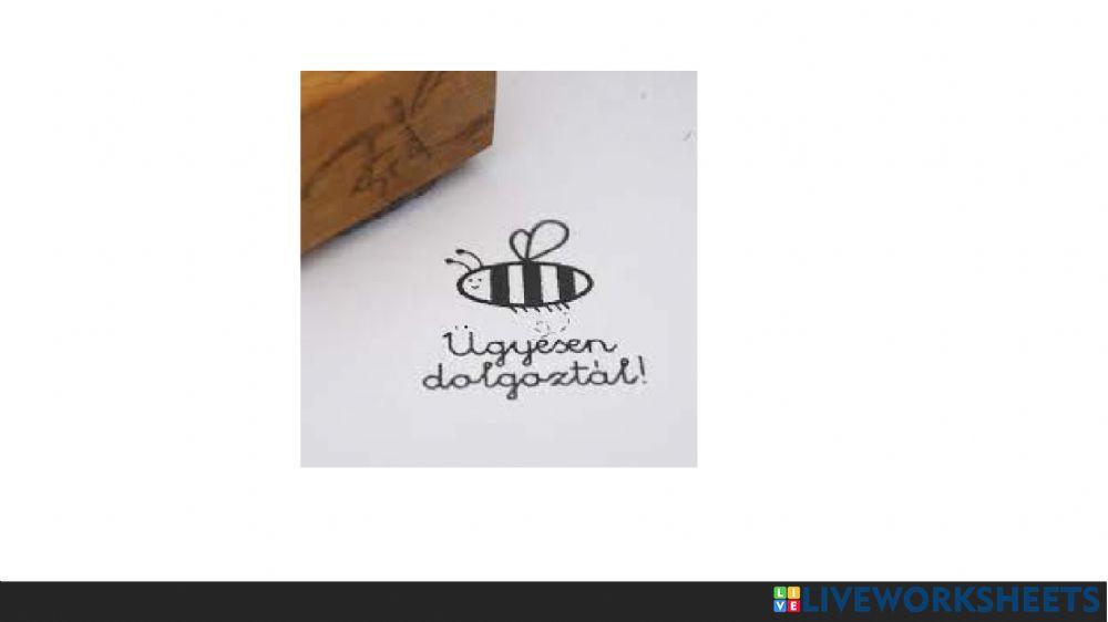 Környezet-Németh-Vince-évvégi-vizsga2022jun