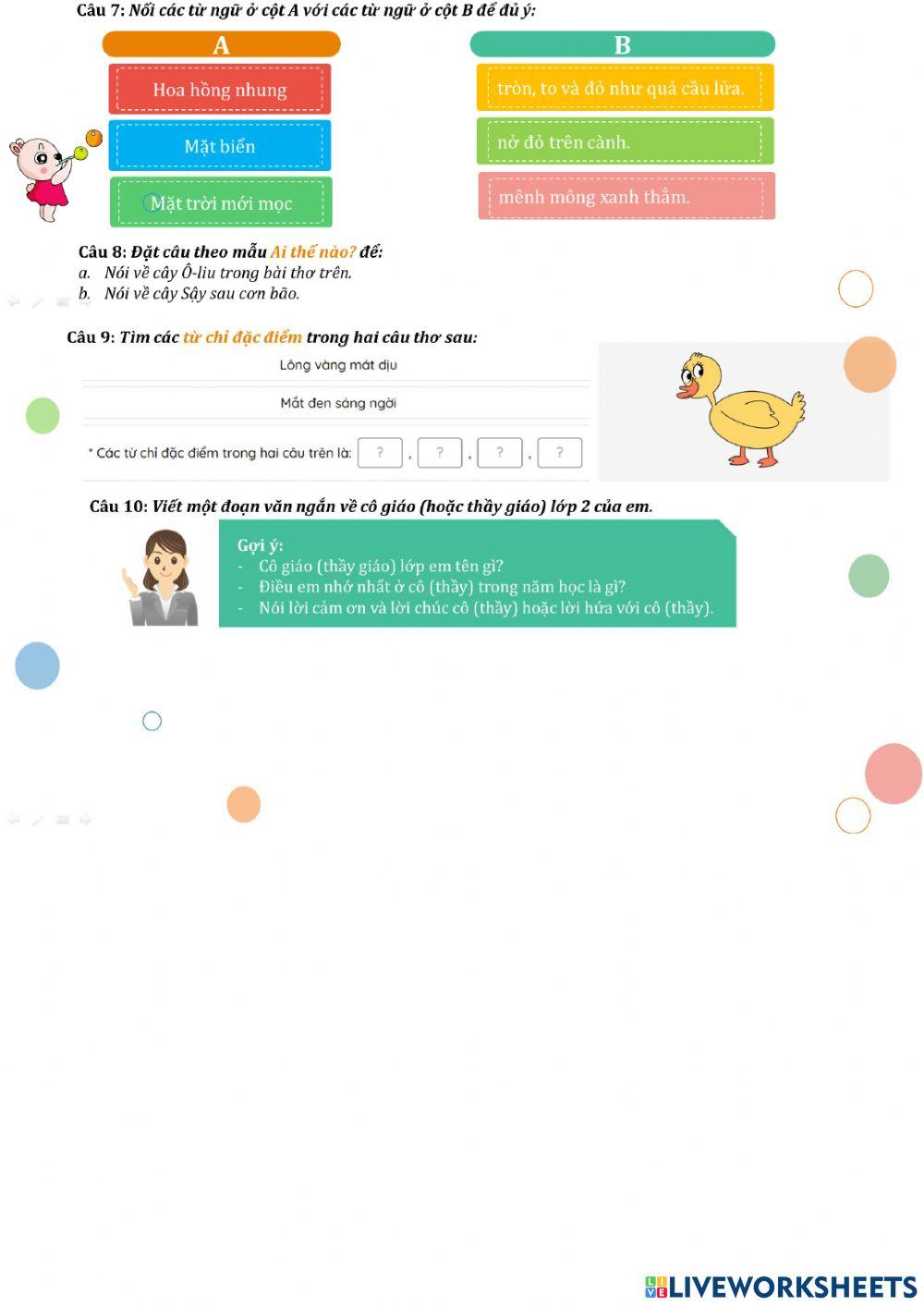 Phiếu ôn tập cuối kì 2 số 2