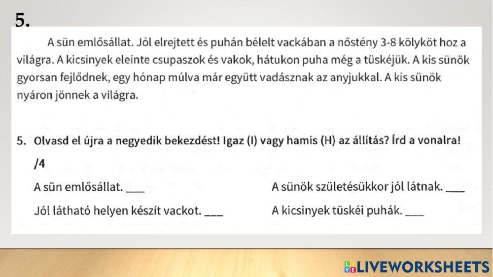 Szövegértés-NémethVince-évvégi vizsga 2022jún.