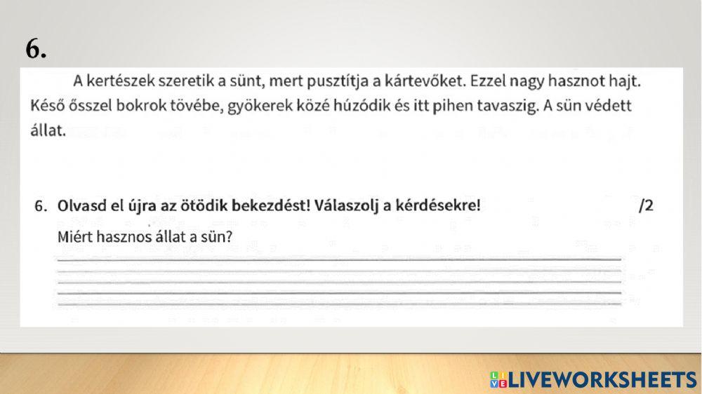 Szövegértés-NémethVince-évvégi vizsga 2022jún.