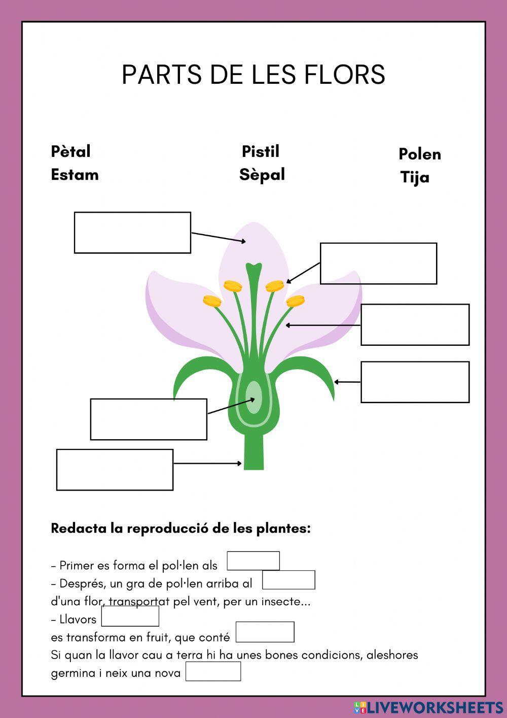 Les parts de la planta i la reproducció