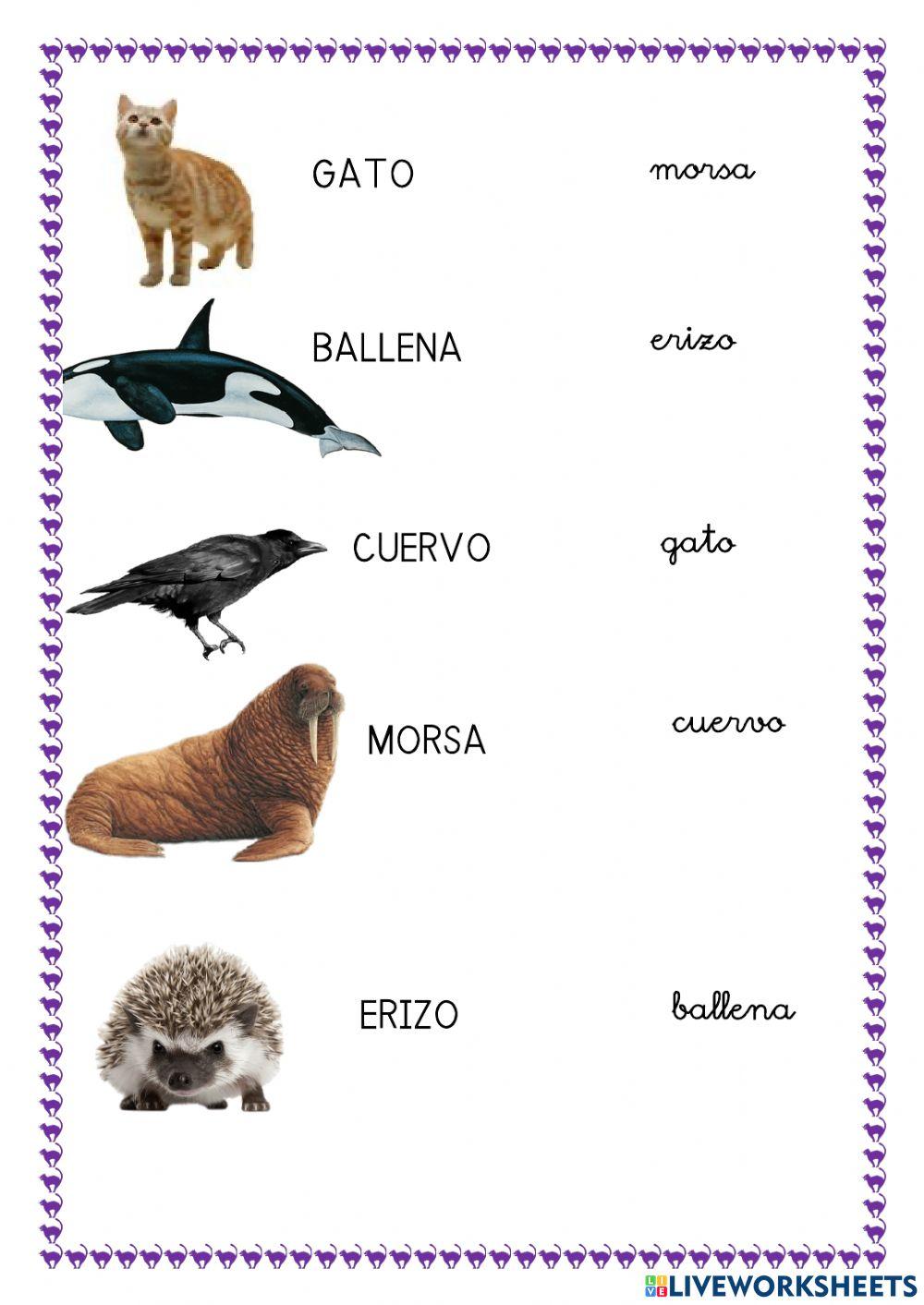 Vocabulario Animales
