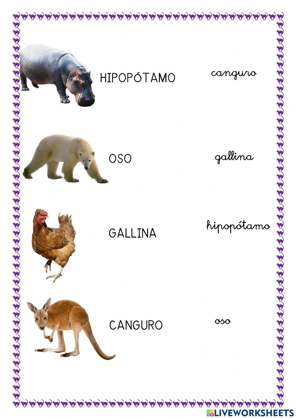 Vocabulario Animales