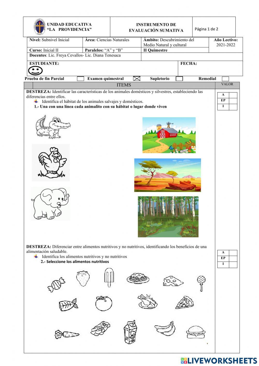 Evaluación II Quimestre