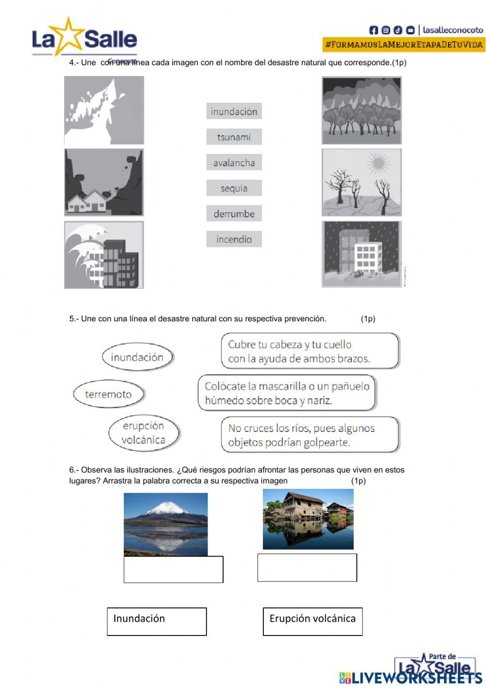 2do QUIMESTRE SEGUNDOS EN LINEA