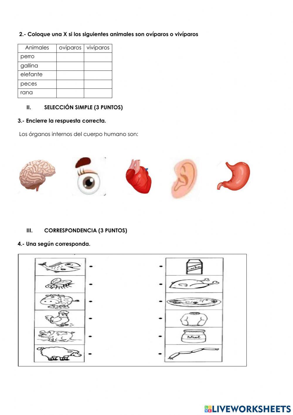 Evaluacion ciencias naturales 2do quimestre