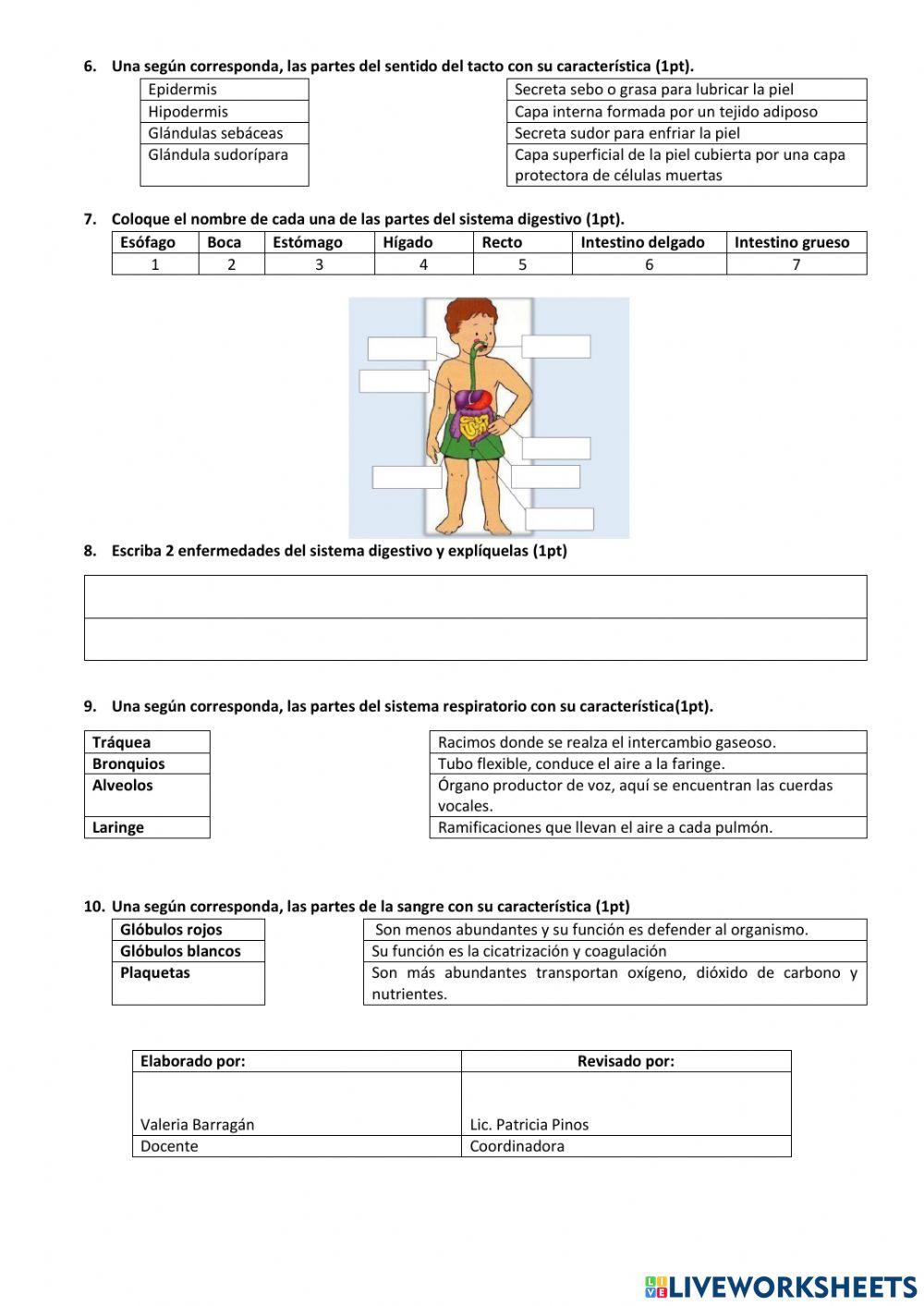 Prueba ciencias naturales 5to