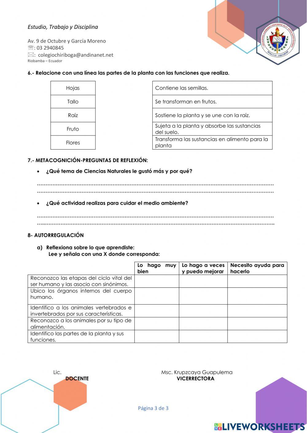 Evaluación Ciencias Naturales