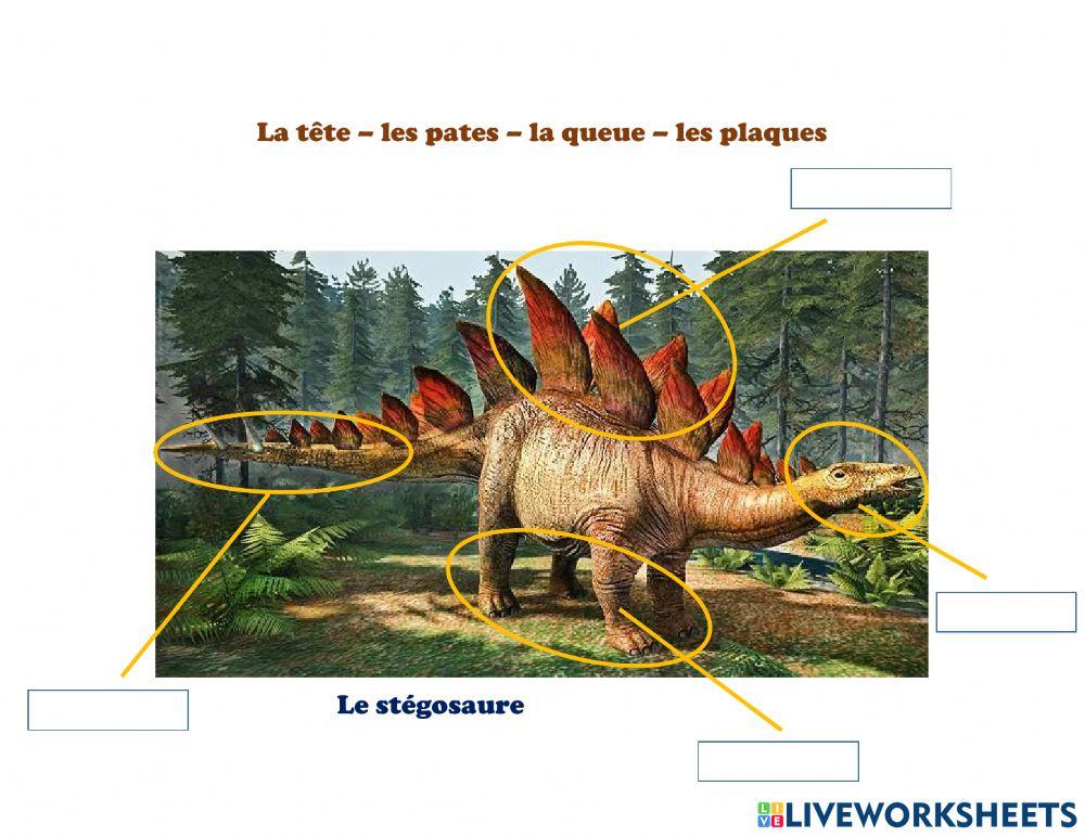 Les dinosaures