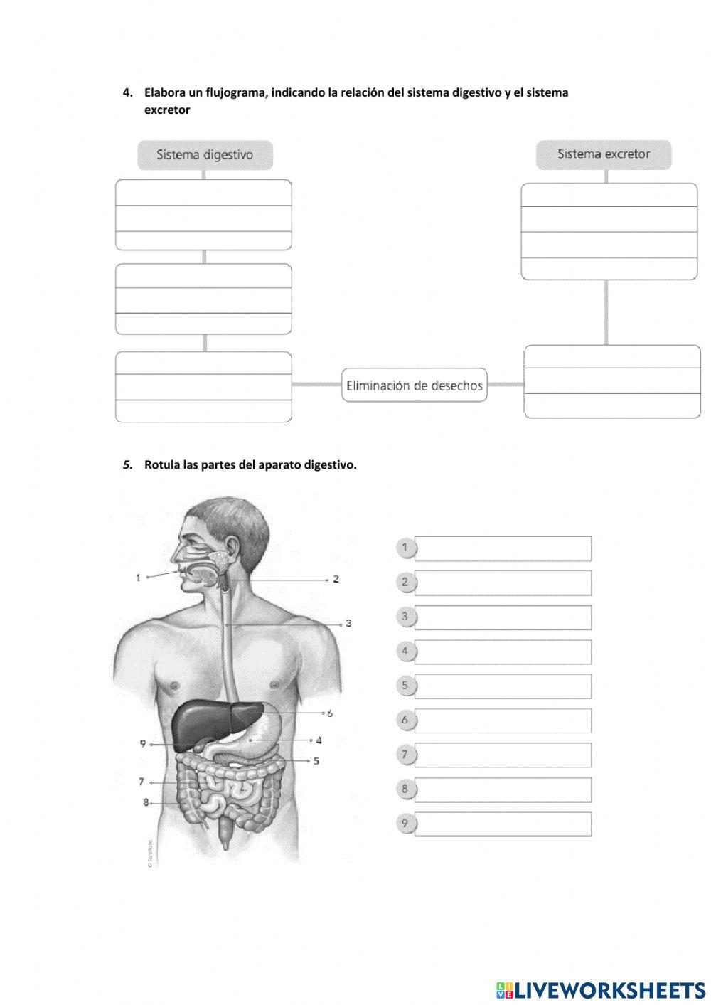 Biologia Biologia