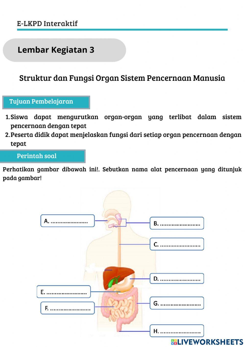E-LKPD Sistem Pencernaan Manusia