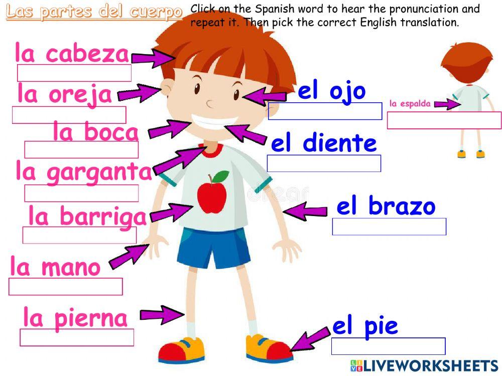 Loas partes del cuerpo