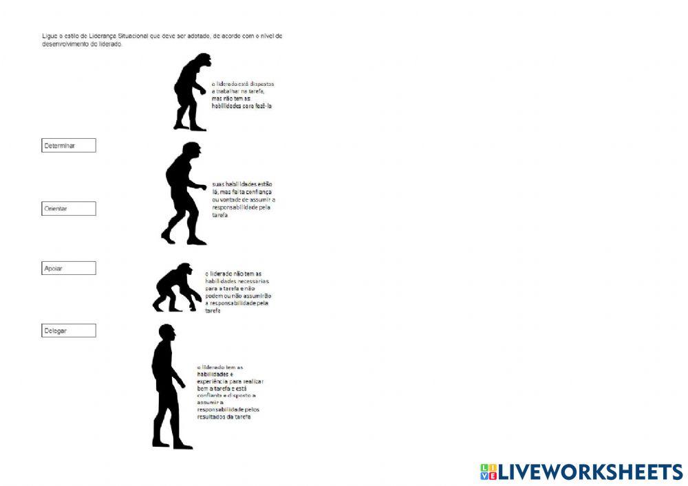 Liderança Situacional