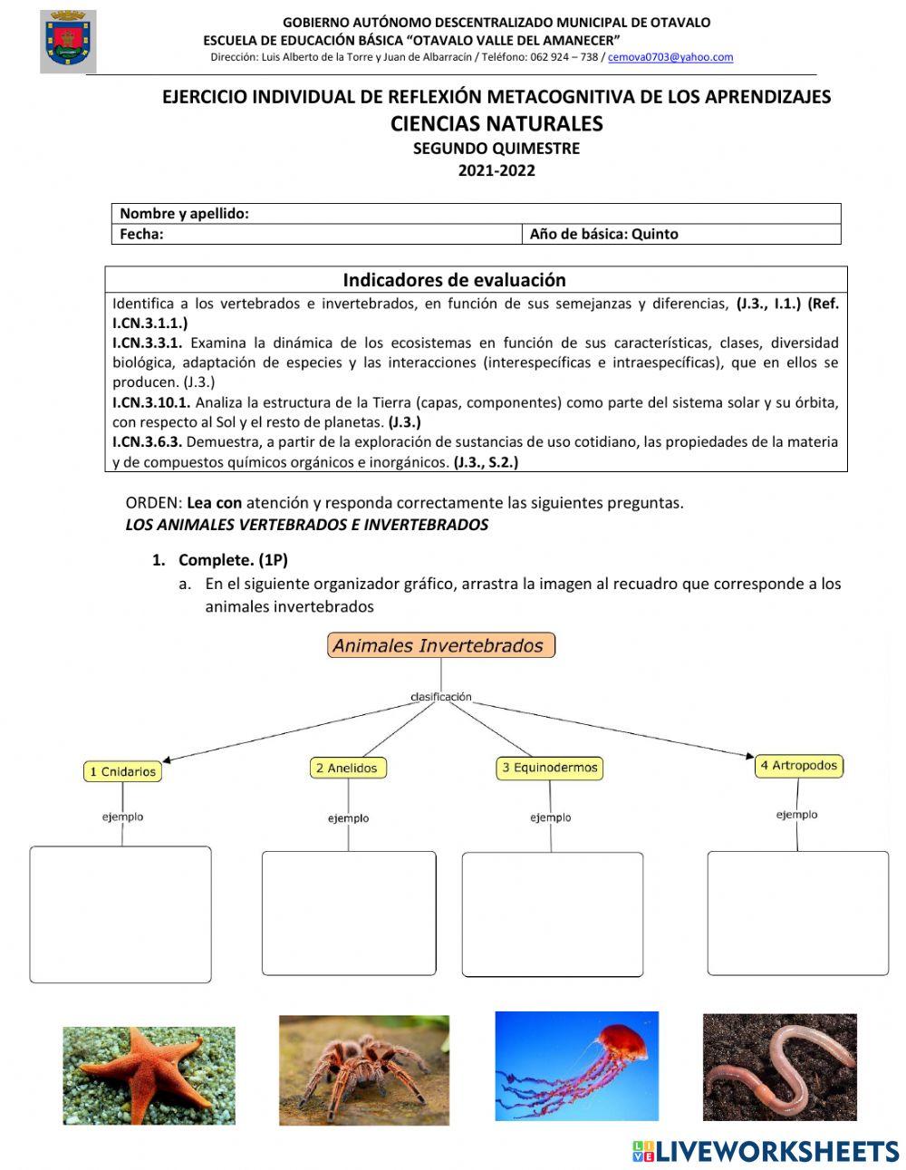 Evaluación ciencias