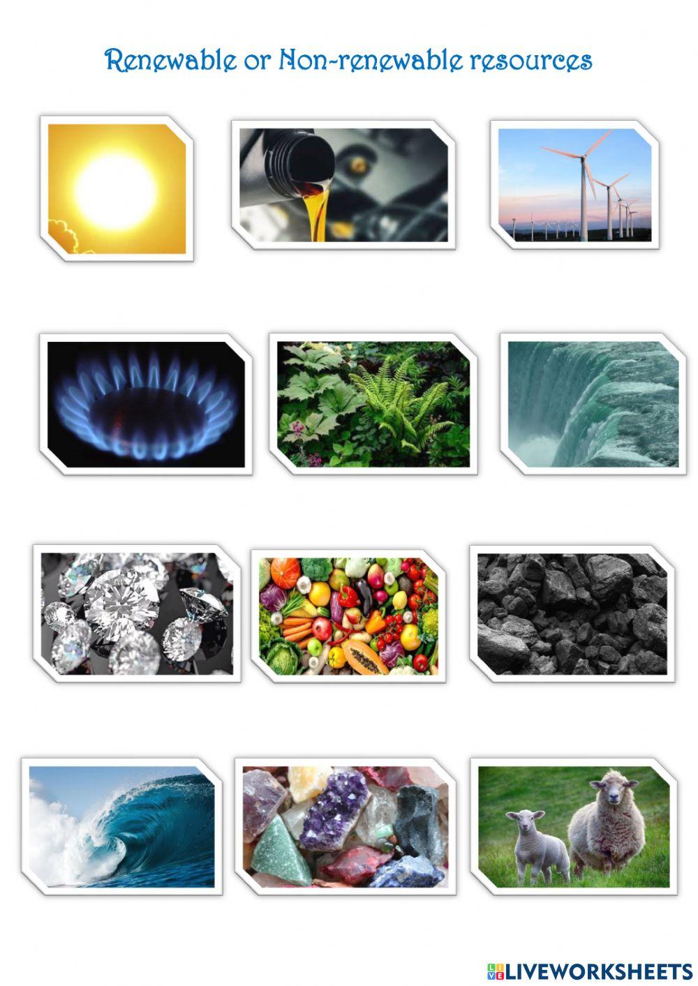 Renewable Or NonRenewable resource online exercise for Live Worksheets