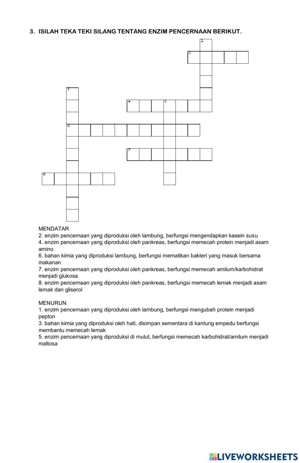 Sistem pencernaan manusia