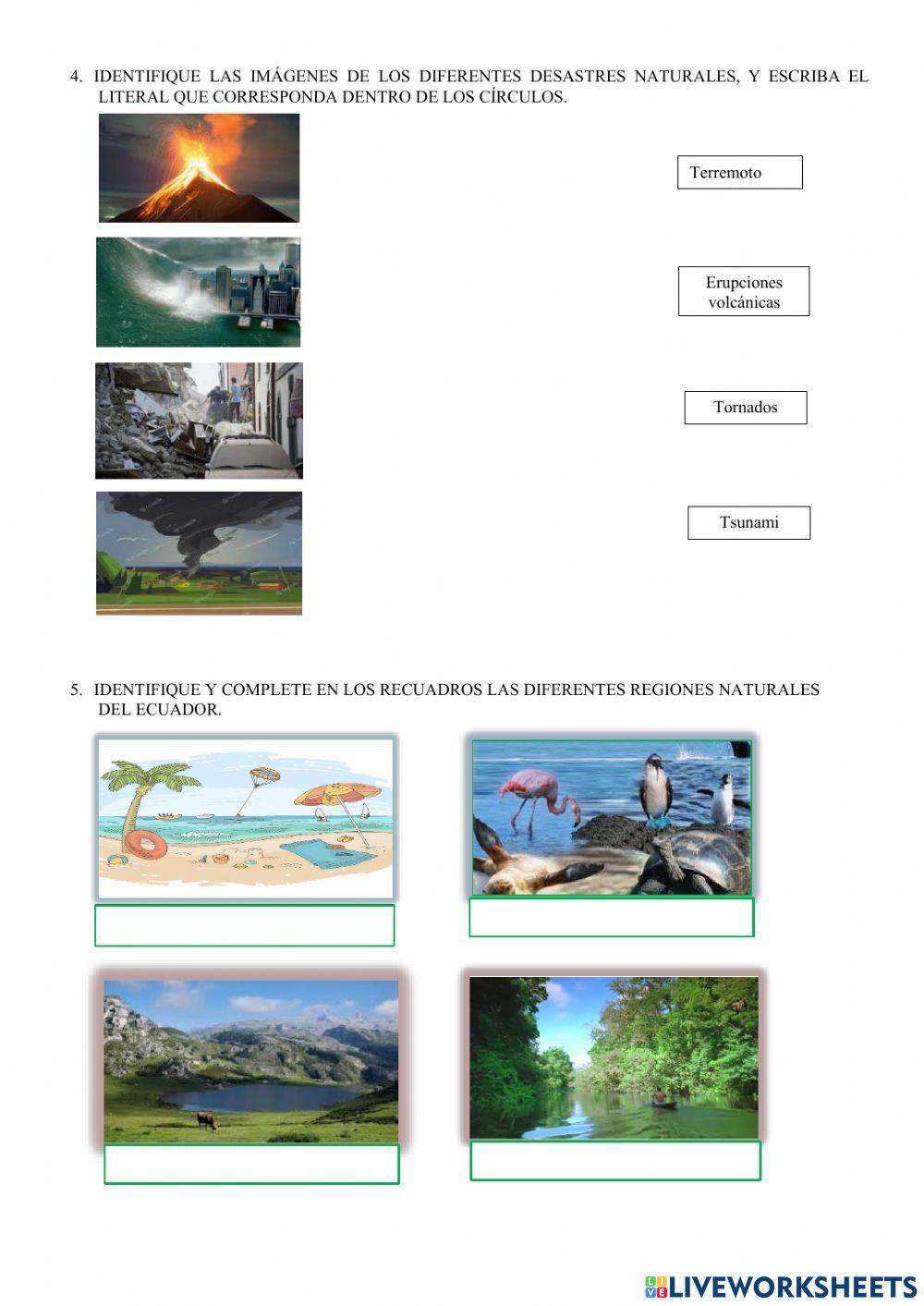 Evaluacion Quimestral de Sociales