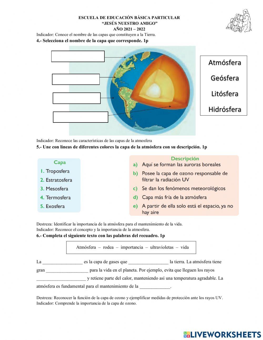 Ciencias naturales 6 online exercise for
