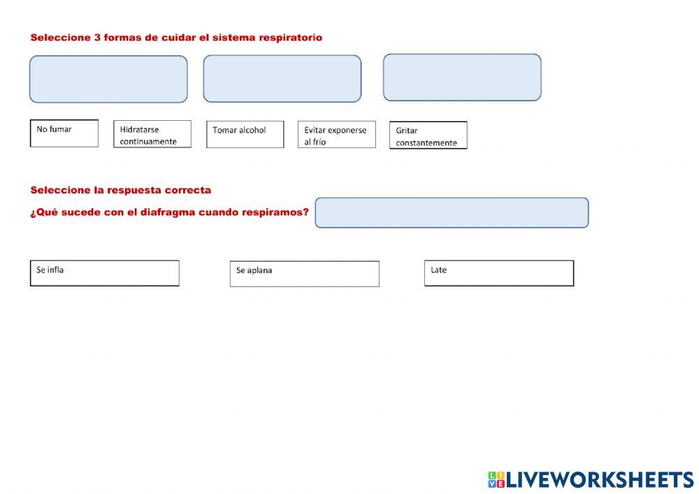 Evaluación del Sistema Respiratorio